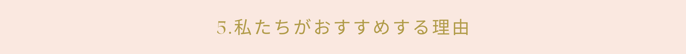 5.私たちがおすすめする理由